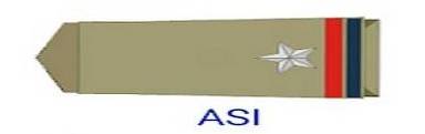 Rajasthan Police Rank Insignia : Head Constable/Assistant Sub-Inspector